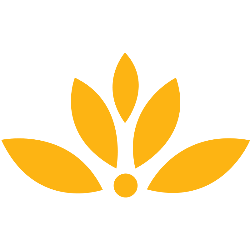DMI logo